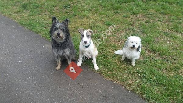 VETS - Kleintierzentrum GmbH