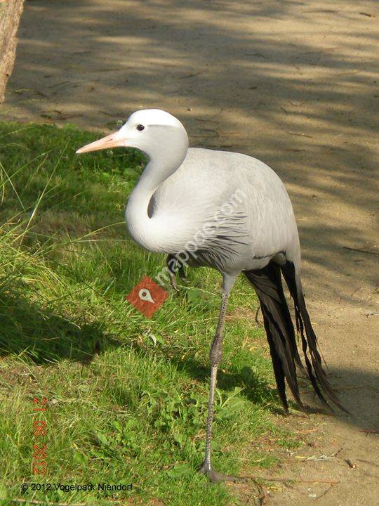 Vogelpark Niendorf / Timmendorfer Strand