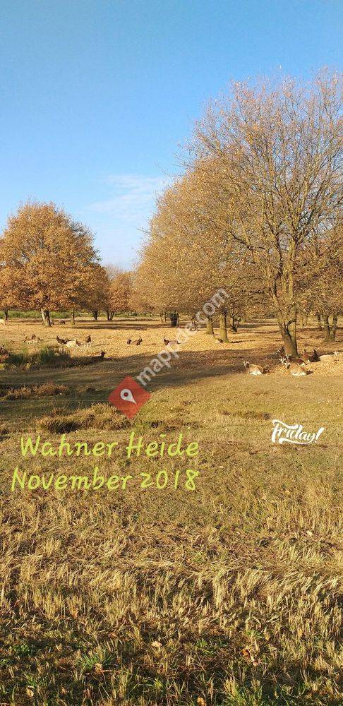Wahner Heide