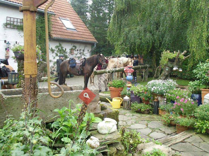 Wanderreitstation Nr. 8 Eifel zu Pferd