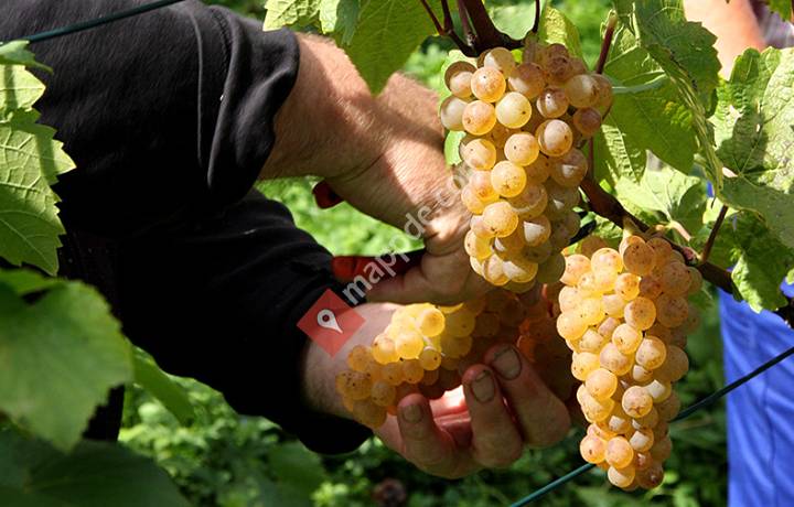 Wein- und Sektgut Hummel