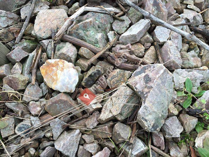 Weinbau Nils Hohnheit