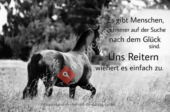 Zeit mit Ponies